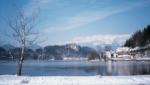 Bled_winter.jpg