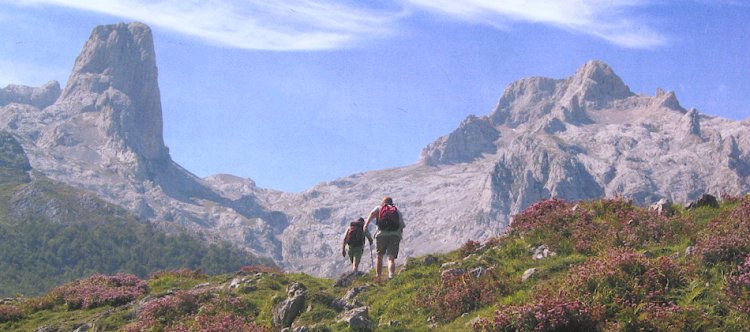 High alpine meadows on approach to Naranjo de Bulnes in the Picos de Europa