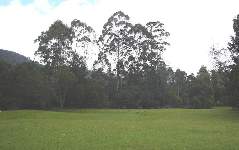 Golf Course in Nuwara Eliya in the Hill Country of Sri Lanka