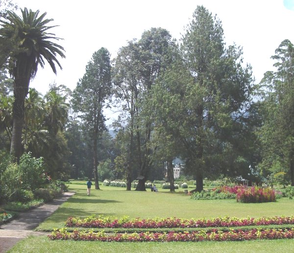 Flower Garden in Victoria Park in Nuwara Eliya