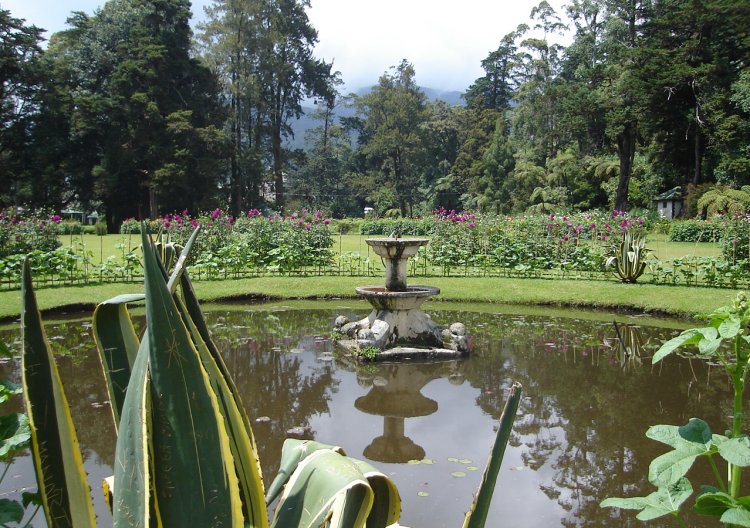 Pond and fountain in Flower Garden in Victoria Park in Nuwara Eliya
