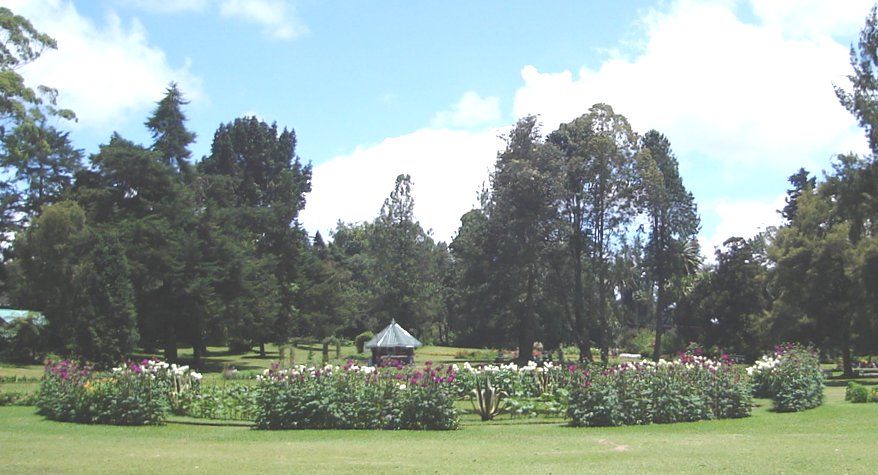 Flower Garden in Victoria Park in Nuwara Eliya