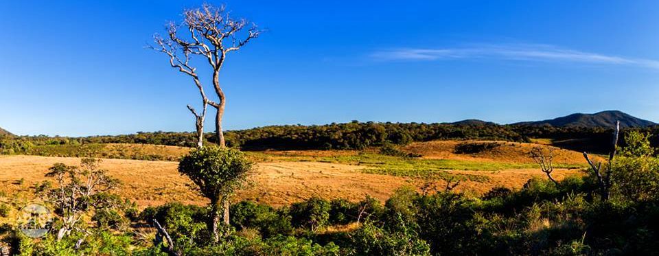 Horton Plains National Park in the Hill Country of Sri Lanka