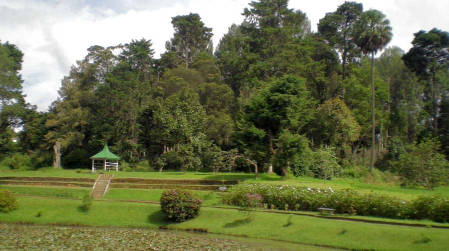 Lily Pond, flower beds and trees in Victoria Park in Nuwara Eliya