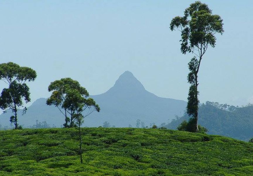 Adam's Peak in the Hill Country of Sri Lanka