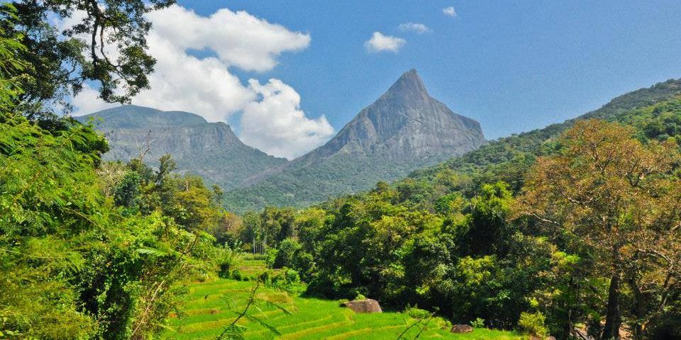 Adam's Peak in the Hill Country of Sri Lanka