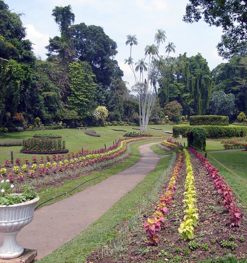 Peradeniya Botanic Gardens near Kandy