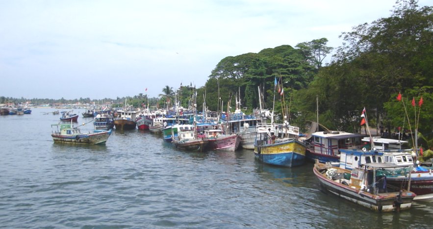 Fishing Boats in lagoon at Negombo Town on West Coast of Sri Lanka