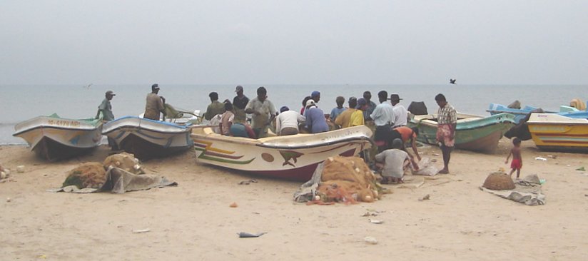 Fishermen and Boats on the beach at Fishing Village in Negombo on West Coast of Sri Lanka