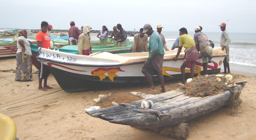 Fishermen and Boats on the beach at Fishing Village in Negombo