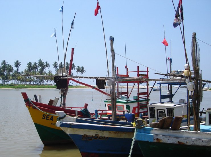 Fishing Boats on Nilwala Ganga River at Matara