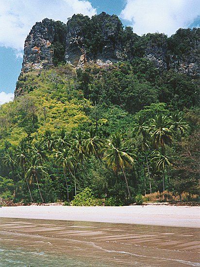 Beach, jungle and limestone cliffs at Hat Ton Sai at Phra Nang near Krabi in Southern Thailand
