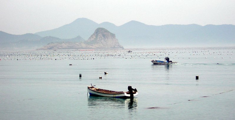 Fishing Boats in Maekong River near Nong Khai 