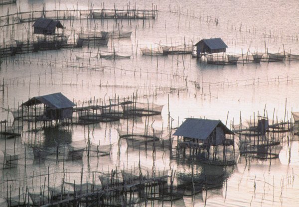 Fish Farms at Songkhla in Southern Thailand