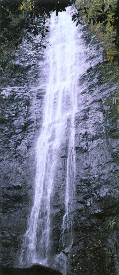 Hawaii waterfall - Manoa Falls