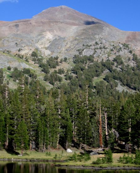 Mount Dana in the Sierra Nevada