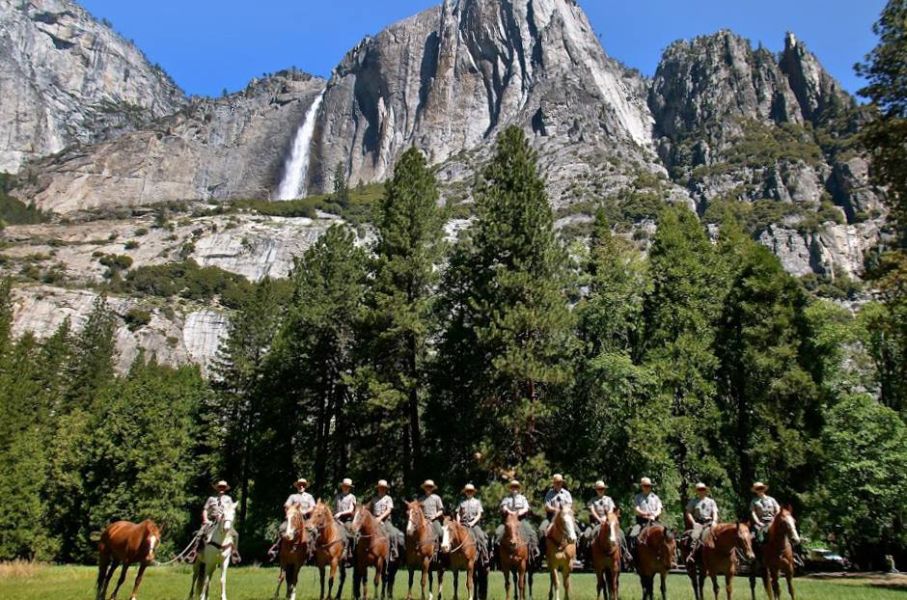 Horse Rangers and Yosemite Falls
