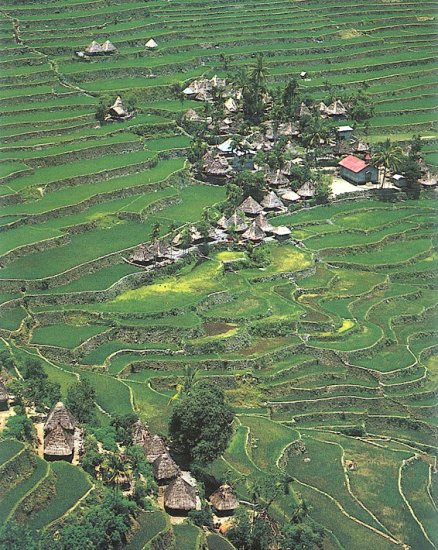 Rice Terraces at Banaue in the Philippines