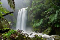 Hopetoun Falls, Beech Forest, near Otway National Park, Victoria, Australia