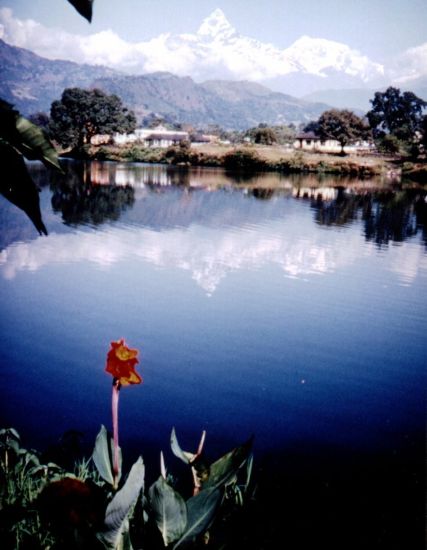 Mount Macchapucchre ( The Fishtail Mountain ) from Phewa Tal at Pokhara in Nepal