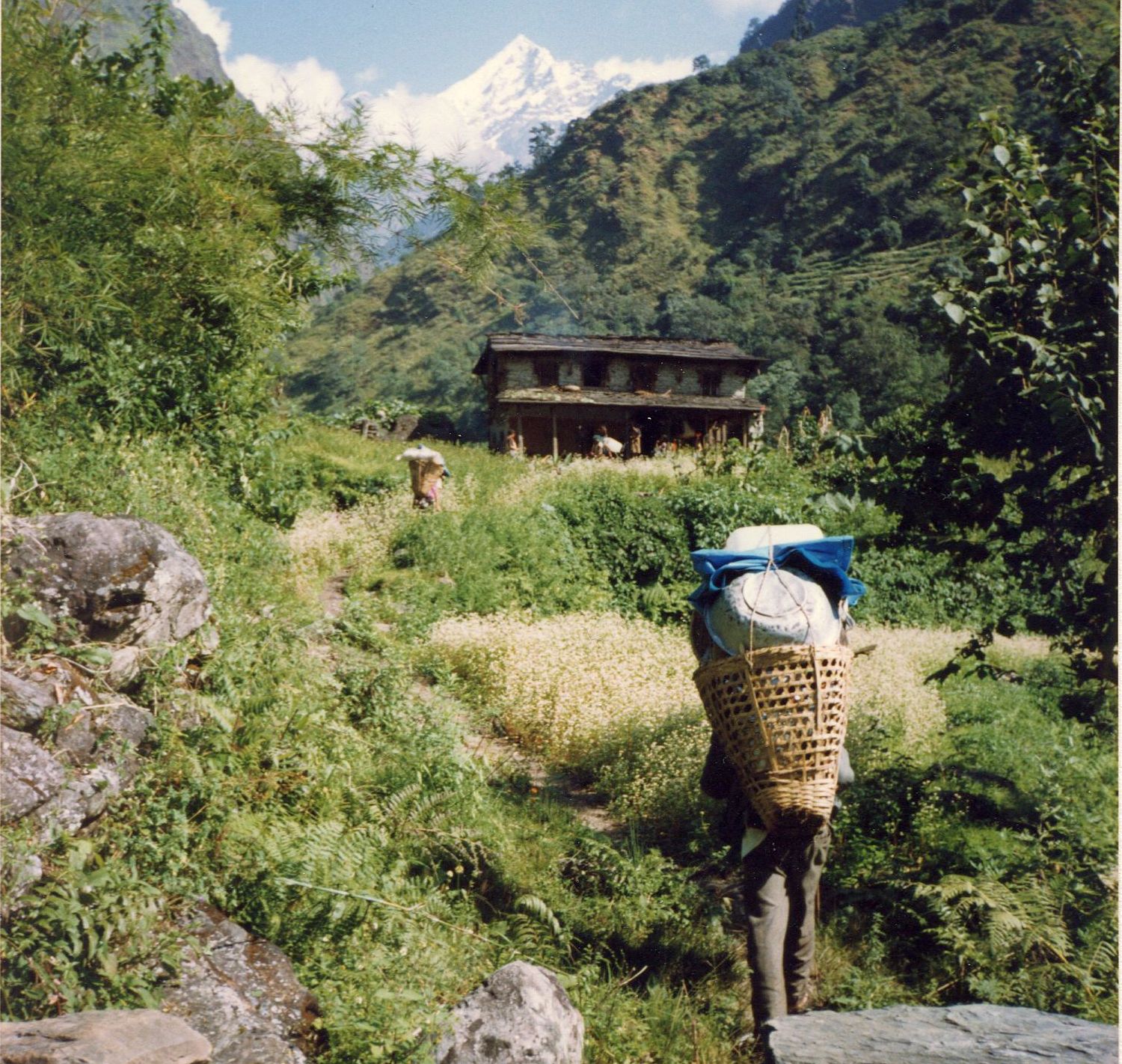 Upper Myagdi Khola Valley