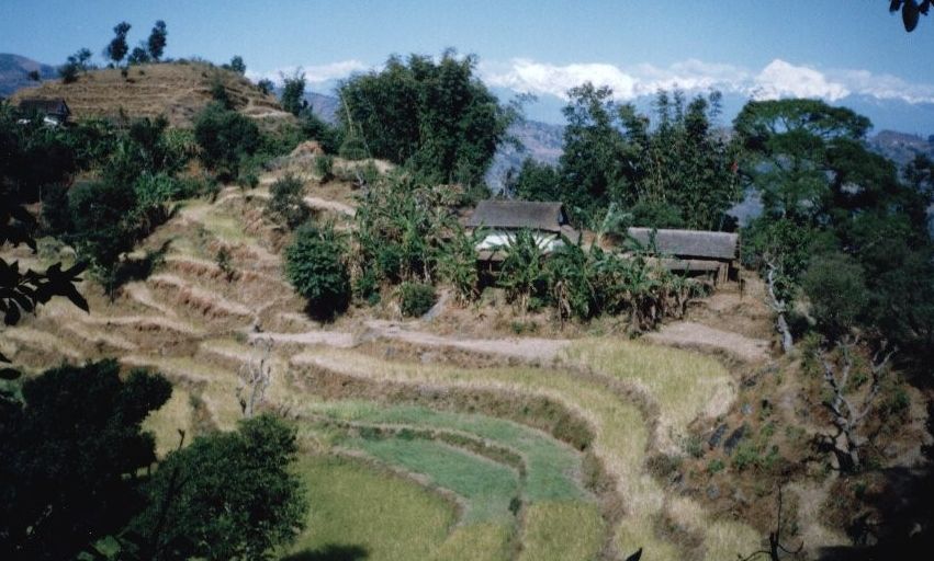 Chamlang and Makalu Himal on route from Kanbari to Chainpur