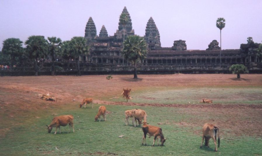 Angkor Wat Temple in northern Cambodia