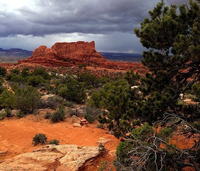 Flaming Sandstone in Arches National Park