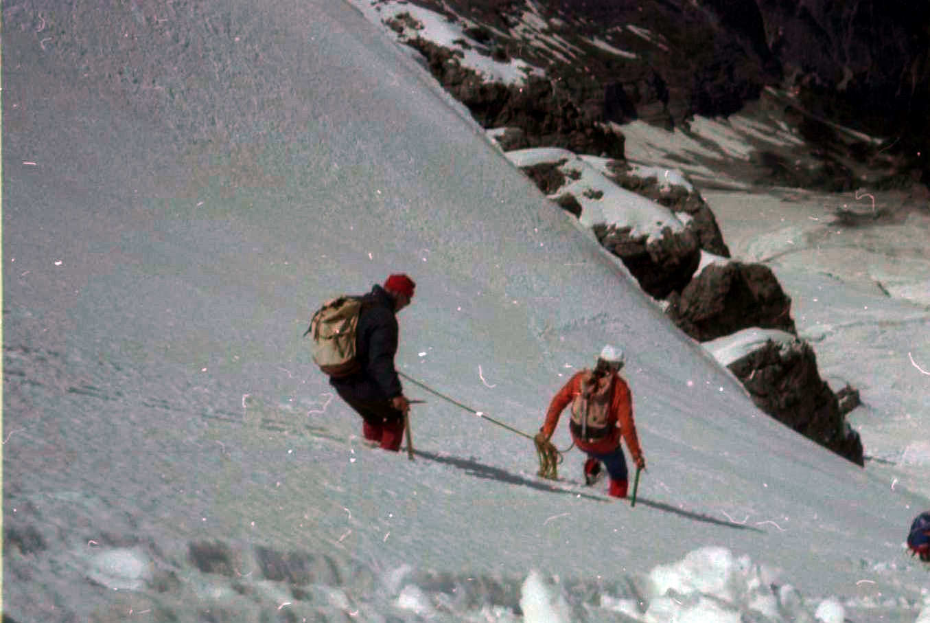 Climbers descending snow slopes from the Ortler in the Italian Alps