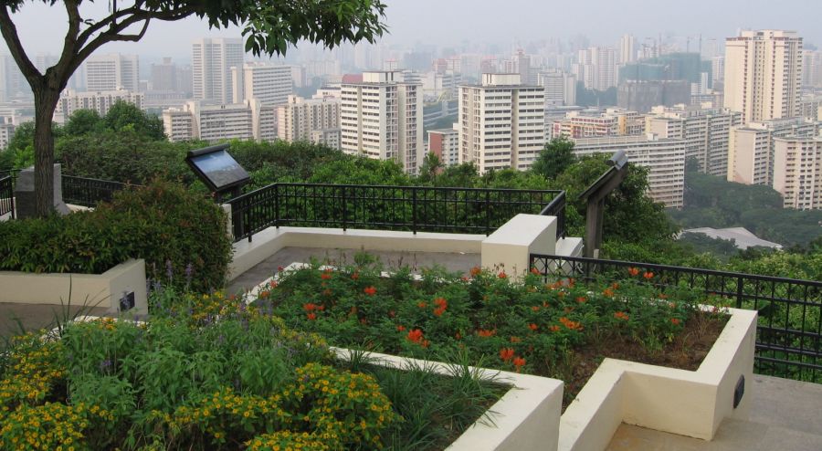 High-rise buildings in Singapore from Mount Faber