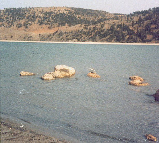 Lake in the Ziz Valley