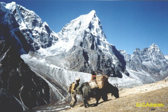 Photo Treks in the Nepal Himalaya