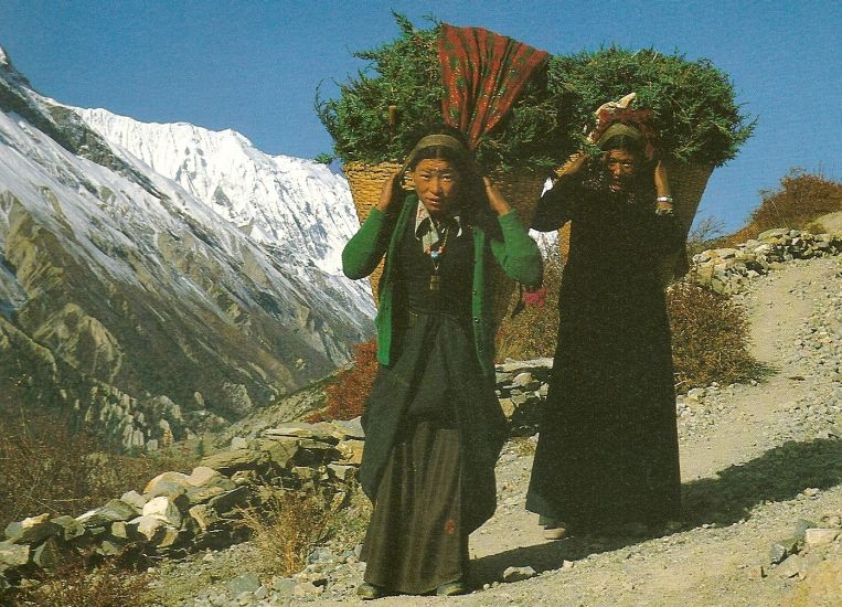 Sherpa women carrying loads in dokhos
