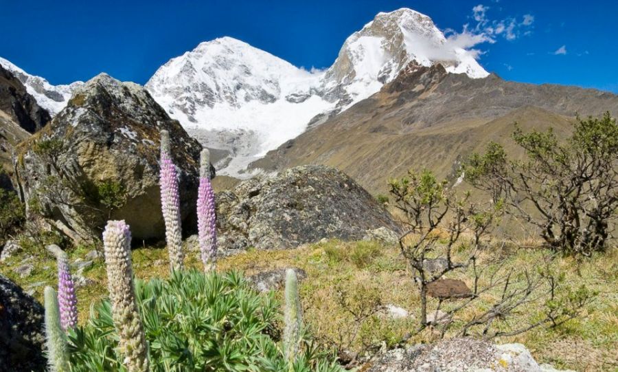 Huandoy in the Cordillera Blanca of the Andes of Peru