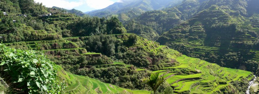 Banaue rice terraces