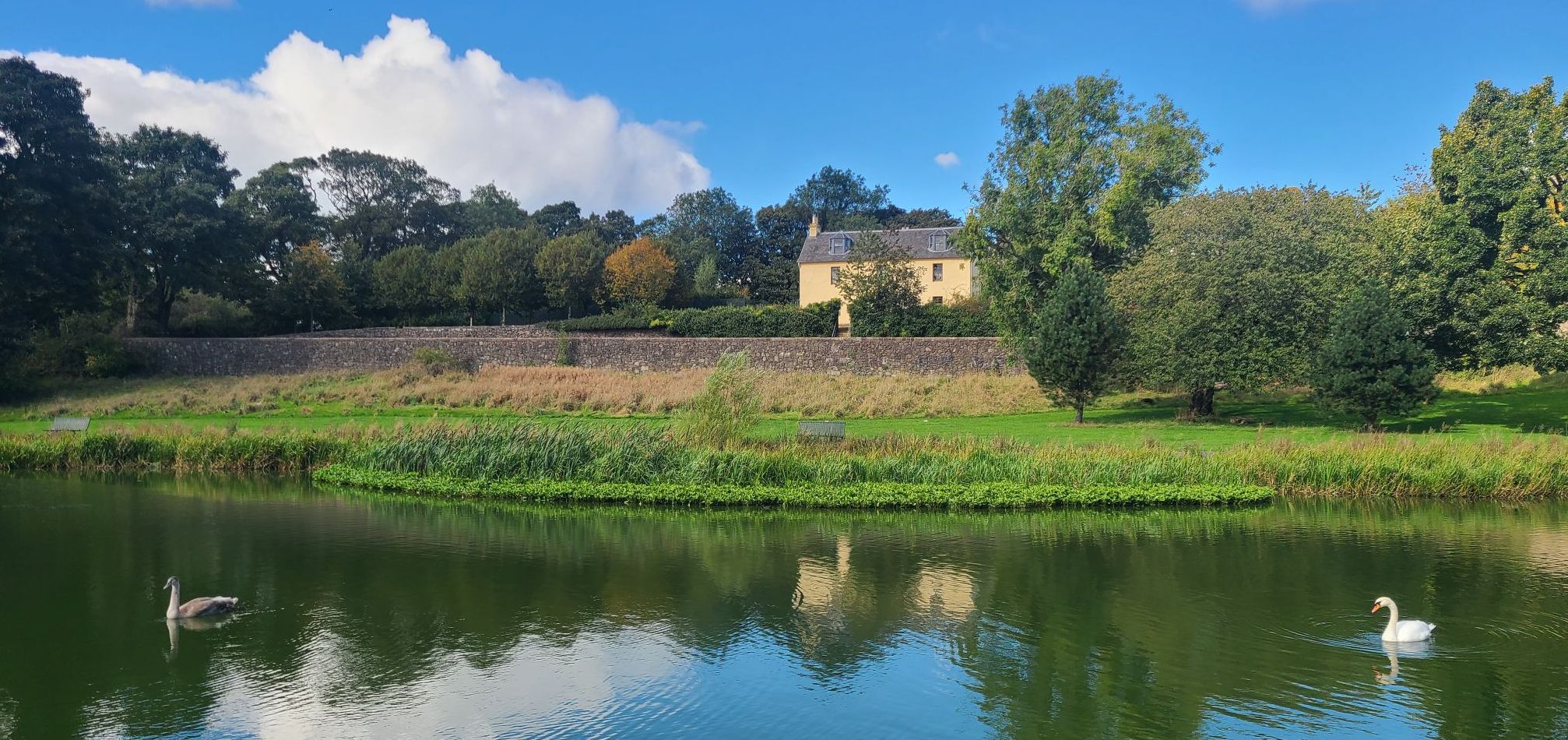 Pond at  Auchinlea Park