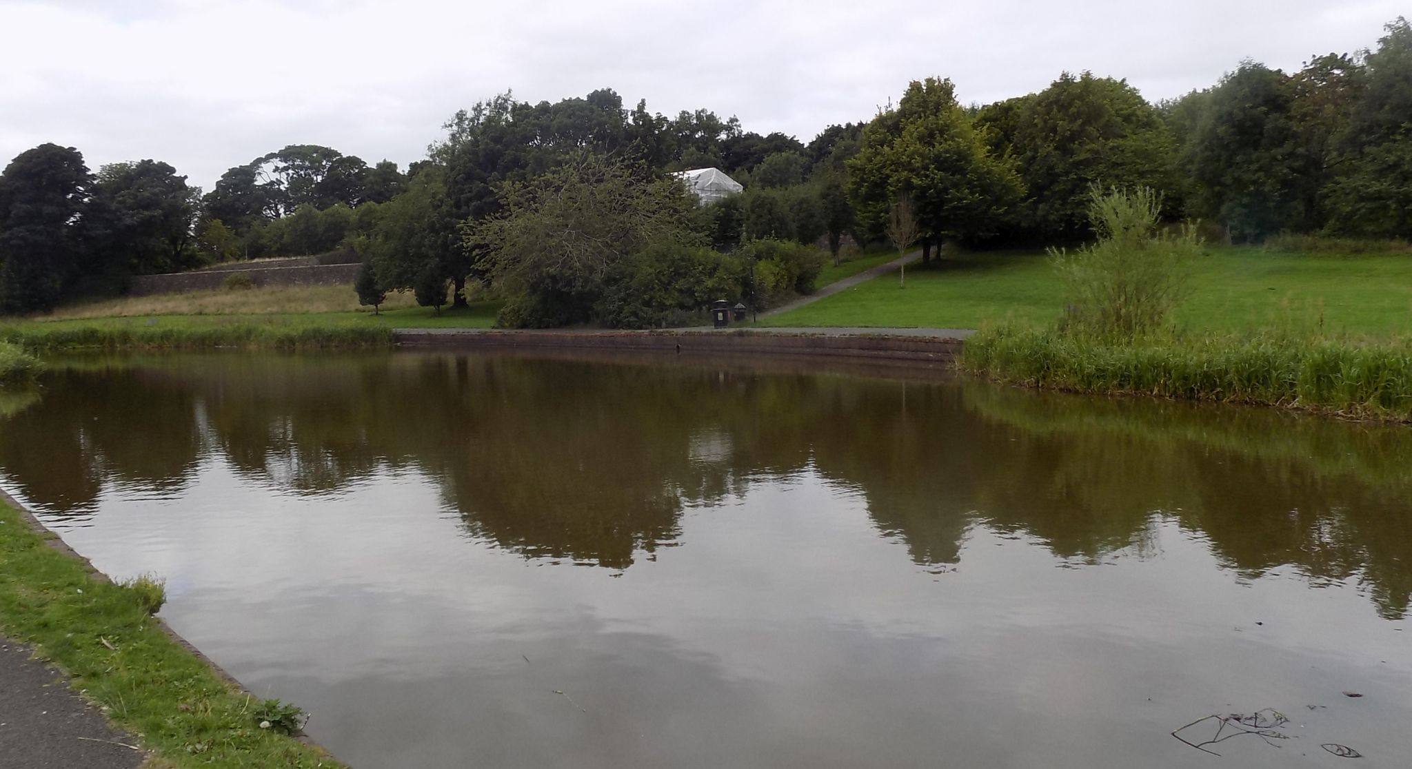 Pond at  Auchinlea Park