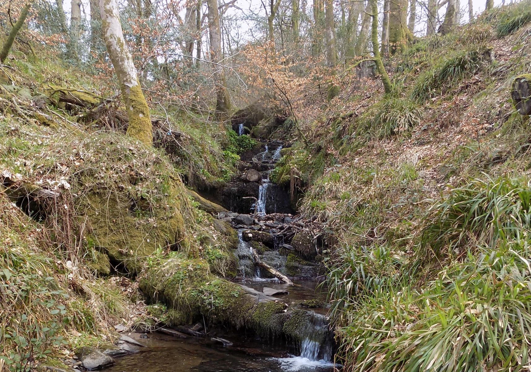Waterfalls in Fairy Glen in Balloch Country Park