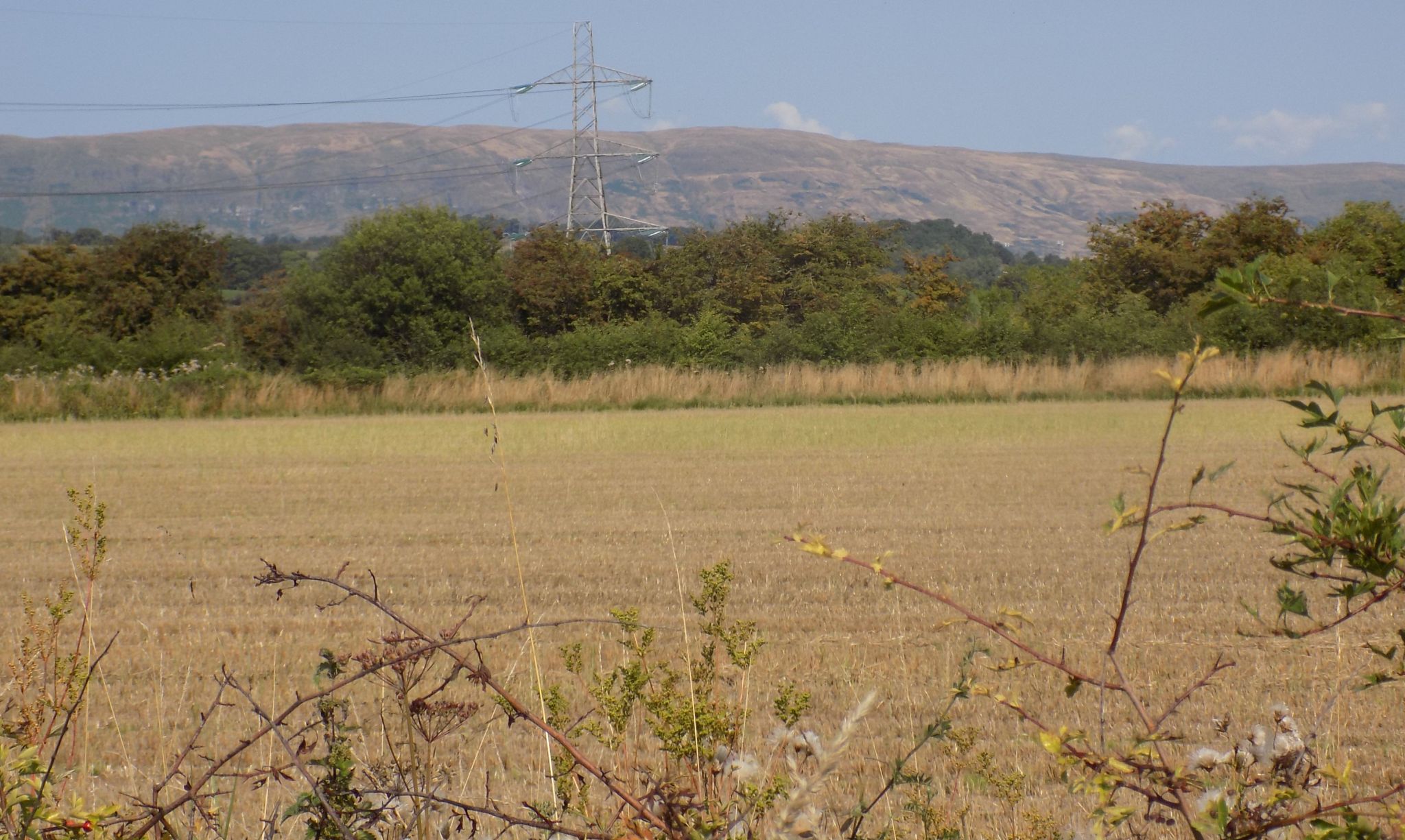 Campsie Fells from the "Back of the Hill " road