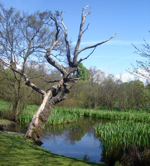 Kilmardinny Loch in Bearsden