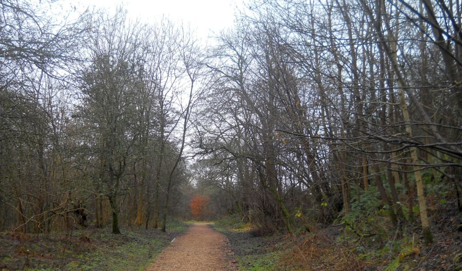 Path through the Craigdhu Wedge