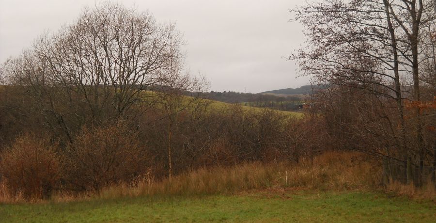 Kilpatrick Hills from the Craigdhu Wedge
