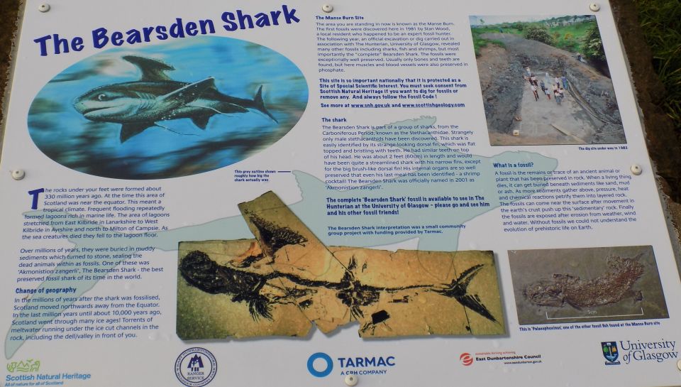 Information Board on the "Bearsden Shark" in Baljaffrey