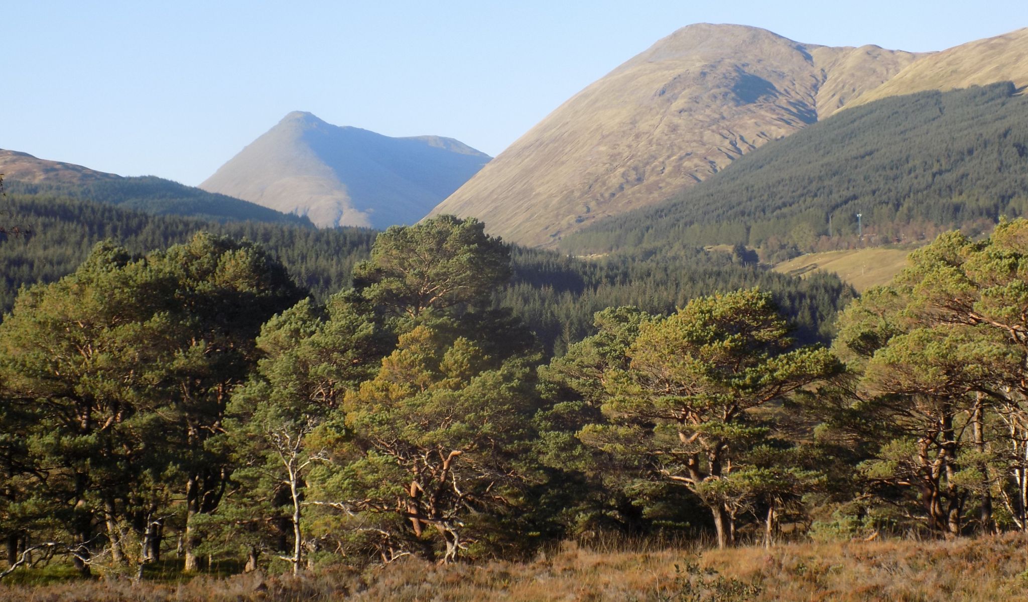 Ben Dorain and Beinn Odhar on route to Ben Oss