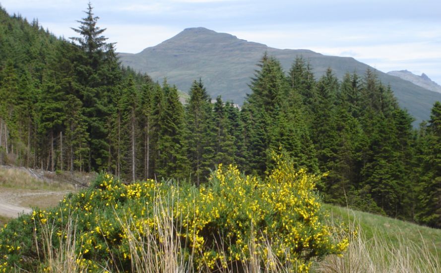 Ben Donich on ascent of Beinn an Fhidhleir