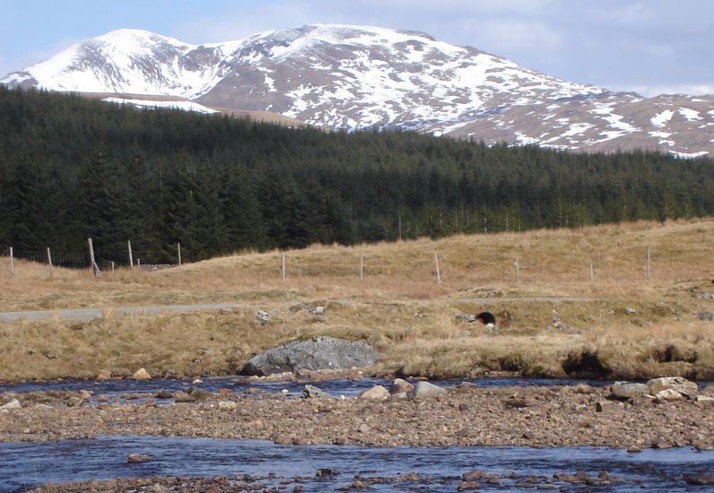 Ben Challum from River Cononish