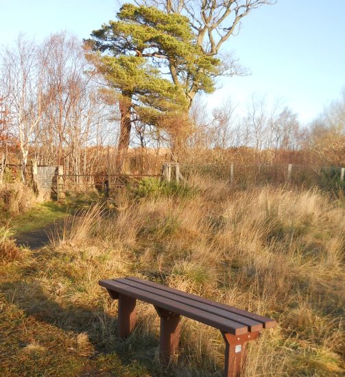 Bench and gate on the path to Pappert Hill