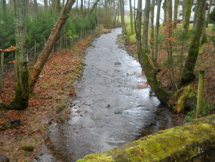 Mill Burn flowing down to the Endrick Water