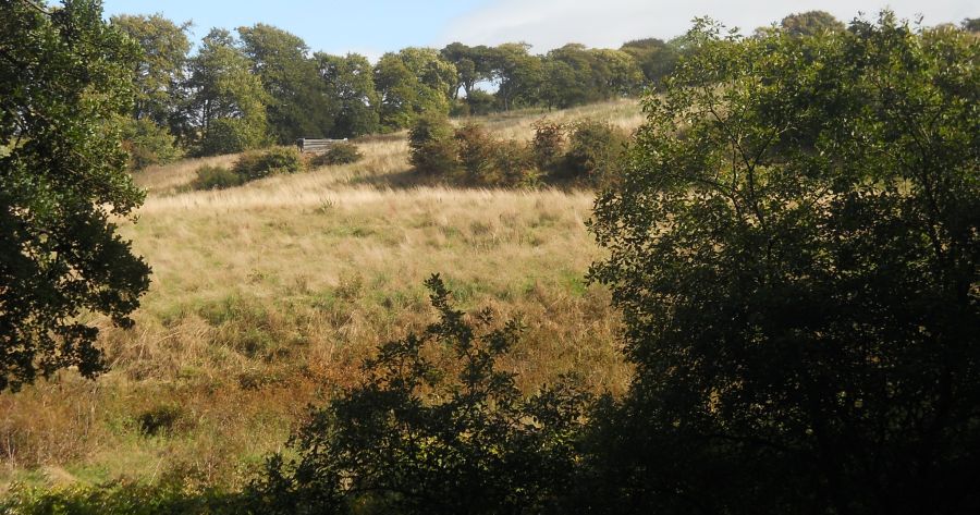 Holmbarns Field from Calderglen Country Park