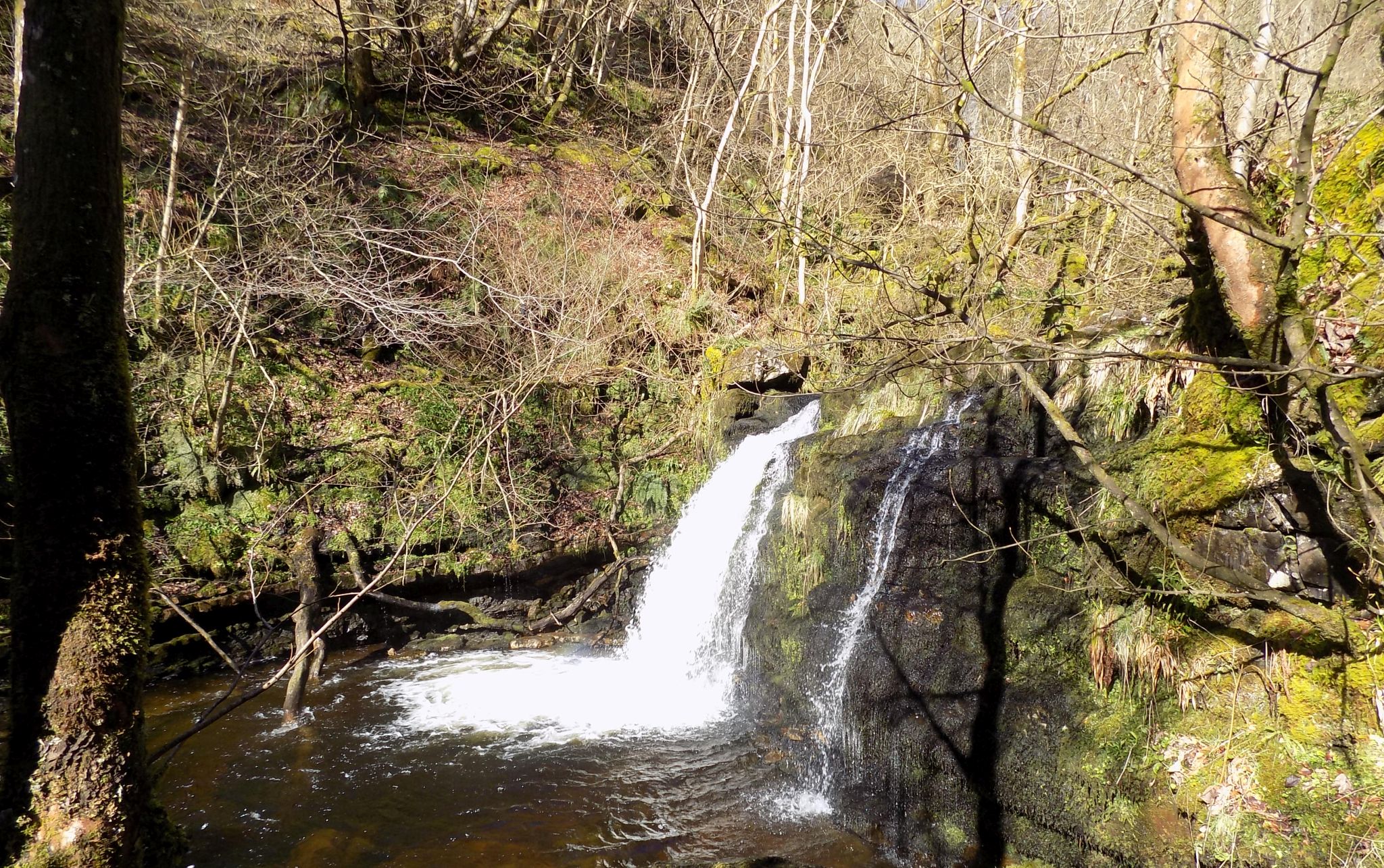 Photographs And Map Of A Circuit Of Campsie Glen Above Clachan Of Campsie